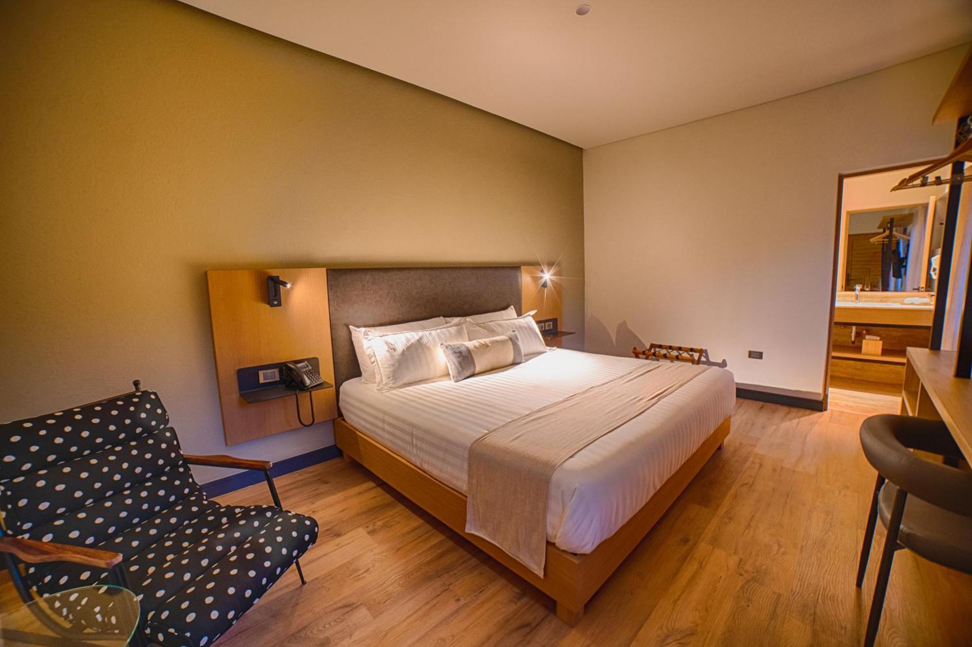 Hotel Casa Aranzazu San Luis Potosí Esterno foto